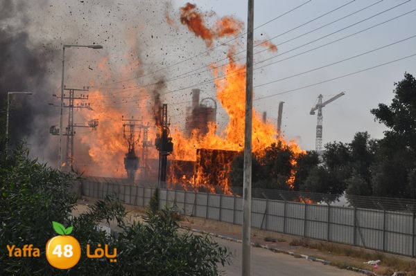 fireludkartoonmasna34 (6).JPG